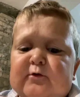 🙄 b3548f65 Hasbulla Hasbulla, Meme, Osobowość internetowa, Fighter telegram sticker