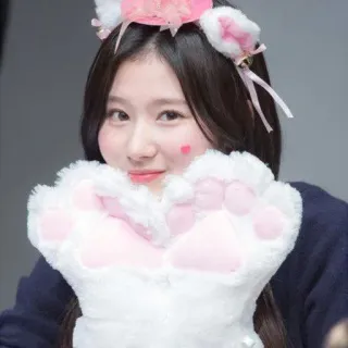 🍭 48fd8501 femme, oreilles, kawaii, mignon, rose, gants, animal, chat telegram sticker