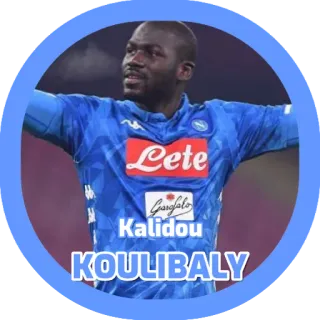🇸🇳 3d5c051f Kalidou Koulibaly Kalidou KOULIBALY サッカー, 選手, アスリート, スポーツ, フットボール telegram sticker