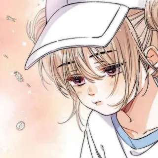 🧸 2430fefe telegram sticker