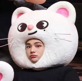 😦 cfce0ad9 person, cat, animal, cute, portrait, face whatsapp sticker