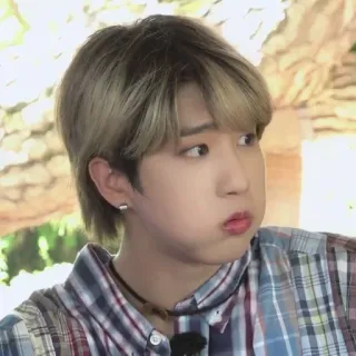 🤍 4d0ede5b telegram sticker