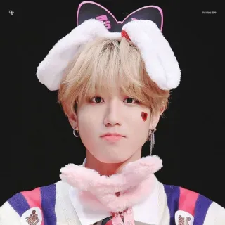 🎸 9970eb1a человек, kpop, айдол, милый, хан джисон, stray kids, сердце, кролик telegram sticker