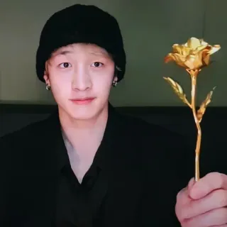 𝚂𝚝𝚛𝚊𝚢 𝚔𝚒𝚍𝚜 @stcryptic telegram stickers