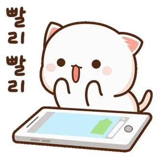 💬 d9e68f4f 빨리 빨리 고양이, 동물, 한국어, 귀여운, 신나는, 서두르다 telegram sticker
