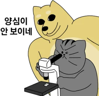 💬 3160ed2f 양심이 안보이네 pies, kot, mem, laboratorium, mikroskop telegram sticker