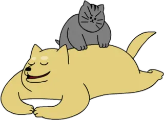 💬 5c4954af kot, pies, zwierzęta, słodkie, zwierzę domowe, przyjaźń, kreskówka telegram sticker