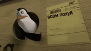😡 64e8ac08 всем похуй pinguino, russo, meme, cartone animato telegram sticker