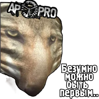 🐺 297a34d2 Безумно можно быть первым... 狼, 動物, AP PRO, 最初 telegram sticker