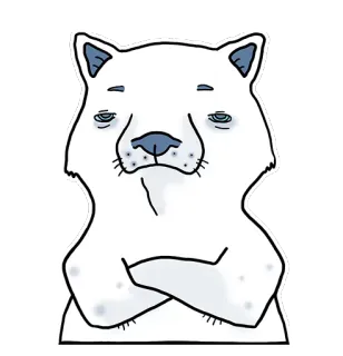 😐 6fcb4b21 ours, animal, autocollant, ours blanc, ours dessin animé, ours sérieux telegram sticker