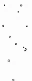 🌟 216723a3 whatsapp sticker