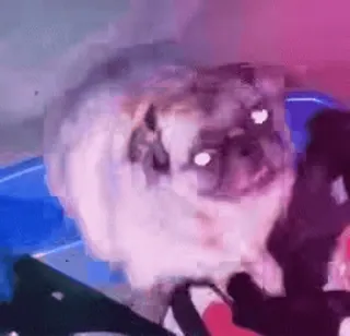 😎 400971b3 telegram sticker