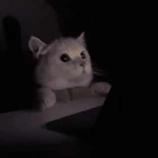 😨 574e940f Katze, dunkel, Augen, süß, Tier telegram sticker