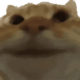 ✅ 95406106 telegram sticker