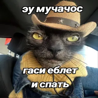😴 5e75e23f Эу мучачос
Гаси еблет
и спать gato, vaquero, sombrero, ruso, ofensivo whatsapp sticker