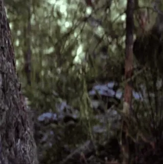 💫 5dd7344f telegram sticker