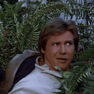 💫 78183169 Han Solo Star Wars han solo, star wars, escondido, helecho, película, personaje telegram sticker