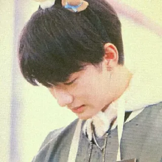 🌙 15f26cf6 telegram sticker