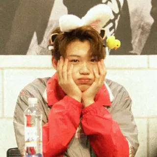 🌙 51462704 telegram sticker