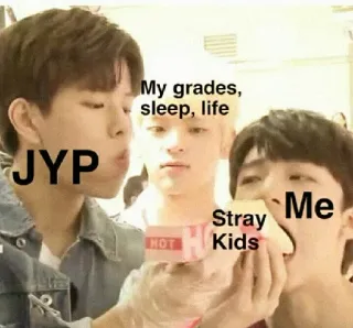 🌙 5989bf89 My grades, sleep, life Meme, Noten, Schlaf, Leben, Kpop, Stray Kids telegram sticker