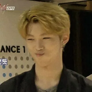 🌙 9d626cb3 ㅂㅜㅅㅜㅇ koreanisch, Ausdruck, blonde Haare, Ekel, Gesichtsausdruck telegram sticker