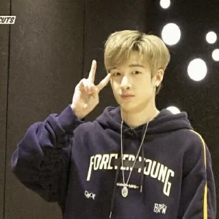 🌙 bff1d6c3 FOREVER YOUNG Friedenszeichen, jung, K-Pop, Junge, friedlich, casual telegram sticker