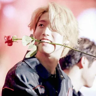 🌙 c084261e person, mann, rose, blume, porträt, lächeln telegram sticker