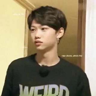 🌙 d84efdf3 who is this Meme, Ausdruck, Wer, Neugierig, Teenager, Person telegram sticker