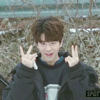 🌙 ed1e3c08 telegram sticker