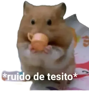 ☕ 6571a568 *ruido de tesito* hamster, imut, binatang, teh, minuman, lucu telegram sticker