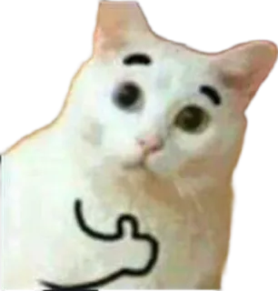 👍 74f544c5 kucing, jari tengah, menyinggung, meme, binatang, kasar, gestur telegram sticker