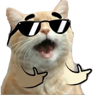 😎 a4ec7d3b kucing, kacamata hitam, keren, binatang, meme, lucu, gaya telegram sticker