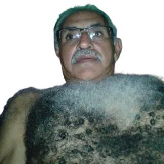 🧸 ec0b5d9a pria, dada berbulu, orang, dewasa, dada telegram sticker