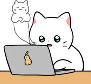 💬 b1e9bf27 cat, laptop, cute, animal, kitten, pear whatsapp sticker