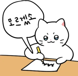 💬 d5cf6edb 모르겠어 cat, drawing, Korean, I don't know, confused whatsapp sticker