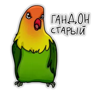 😠 cf5ab8ad ГАНДОН СТАРЫЙ oiseau, perroquet, dessin animé, offensant, russe, insulte whatsapp sticker