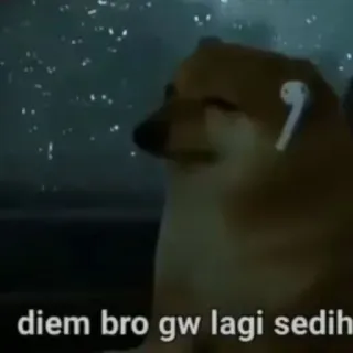 😔 f2920d7d diem bro gw lagi sedih Hund, Cheems, traurig, Meme, Kopfhörer telegram sticker