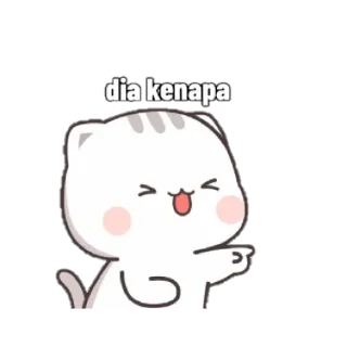 😂 998655ab dia kenapa chat, mignon, autocollant, adorable, dessin animé, pointant telegram sticker