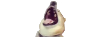 ✨ 9bd1fdee chien, bâillement, animal, animal de compagnie telegram sticker