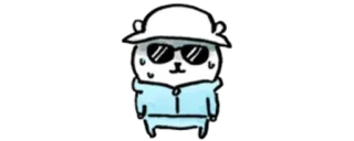 🧸 f57f256d oso, dibujos animados, gafas de sol, sombrero, lindo, personaje whatsapp sticker
