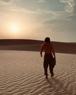 🍯 21905f75 gurun, pasir, pria, berjalan, matahari terbenam, pemandangan belakang, perjalanan, alam whatsapp sticker