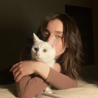 🍯 2e21b290 kucing, wanita, hewan peliharaan, binatang, potret, kucing putih, orang, imut whatsapp sticker