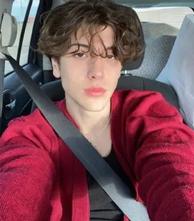 🍯 920418d4 orang, pria, potret, selfie, mobil whatsapp sticker