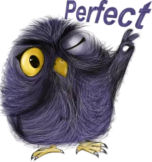 👌 2a85d9a0 Perfect Vogel, Eule, süß, Tier, perfekt, Cartoon whatsapp sticker