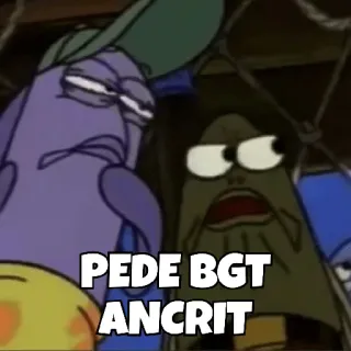 😀 1e954edc PEDE BGT ANCRIT bob esponja, meme, texto, indonesio, dibujos animados whatsapp sticker