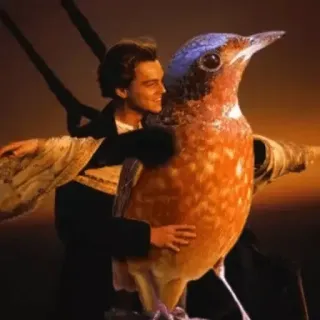 😀 395f862d Titanic Титаник, Леонардо ДиКаприо, птица, фильм, смешной, мем whatsapp sticker