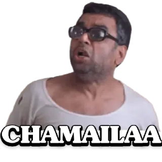 😀 f38e5a75 CHAMAILAA Meme, Lustig, Ausdruck, Porträt telegram sticker