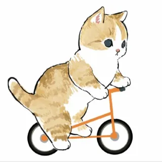 😀 086938c9 gatto, gattino, bicicletta, carino, animale, animale domestico whatsapp sticker