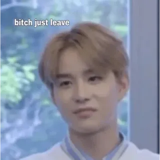 😀 7dde9936 bitch just leave มีม, ประชดประชัน, ตลก, หยาบคาย, Kpop, การแสดงออก telegram sticker