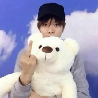 😀 c855dcbe นิ้วกลาง, หยาบคาย, ตุ๊กตาหมี, คน, ท่าทาง telegram sticker